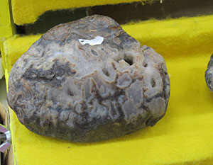 Grand Marais Agate