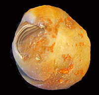 Customer Agate Find