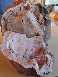 Customer Agate find