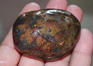 Tony's agate find.