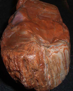 Todd Bird's Agate