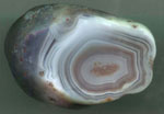 Rick's Shadow Agate