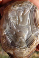 Peeler Agate