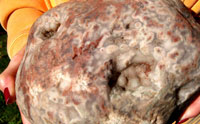 Brain Agate