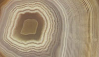 Champaign Agate Detail