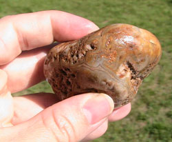 Jennifer's Agate