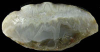 Kate's Agate