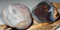 Brian Agate