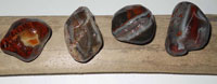 Brian Agate