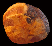 Brian Agate