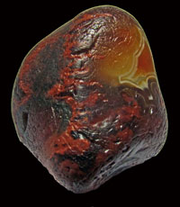 Brian Agate