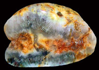 David's Agate
