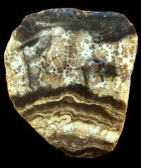 David's Agate