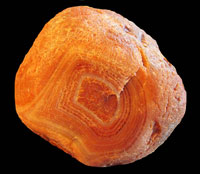 Johnson's Agate