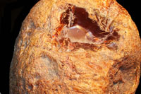 Toni's Agate