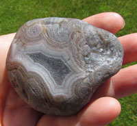 Wayne's Agate