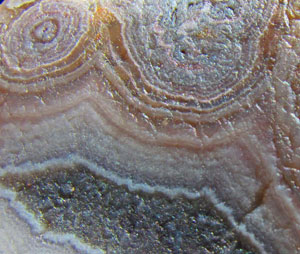 Wayne's Agate