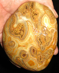 Joan Snyder Agate