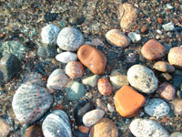 Beach Rocks