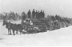 Logging Crew