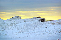 Grand Marais Scene