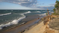 Waves
