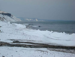 Shoreline - West View