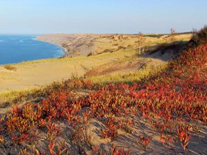 Fall Dunes