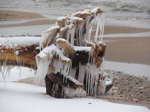 Winter Beach