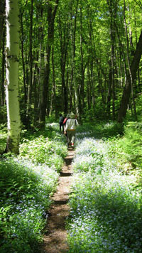 Masse Trail Hikers