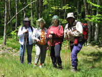 Spring Hiking Outfits