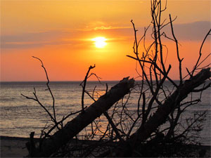 Grand Marais Scene
