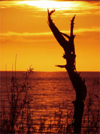 Grand Marais Scene