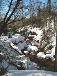 Sable Creek in Winter