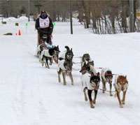 Grand Marais Dogsled