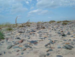 Vermillion Beach Cobble Stones