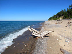 Summer Beach