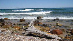Waves, Rocks, and Driftwood