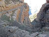 Arizona