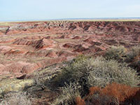 Arizona