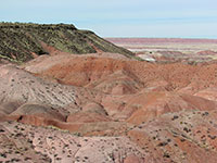 Arizona