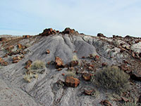 Arizona