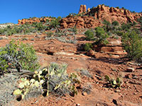 Arizona