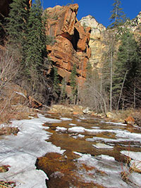 Arizona