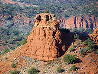 Arizona