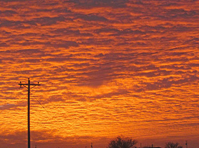 Arizona