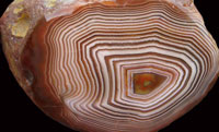Candystripe Agate