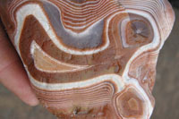 Clown Agate