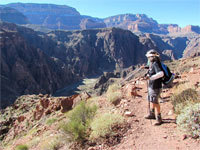 Grand Canyon Scene