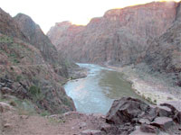 Grand Canyon Scene
